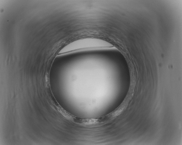 X0000080720288200612150846