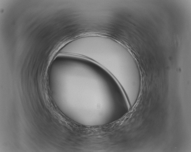 X0000080720289200612150845