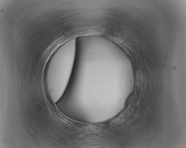 X0000080720290200612150845