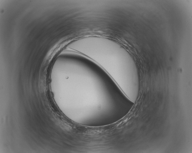 X0000080720291200612150845