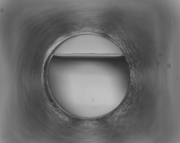 X0000080720292200612150845