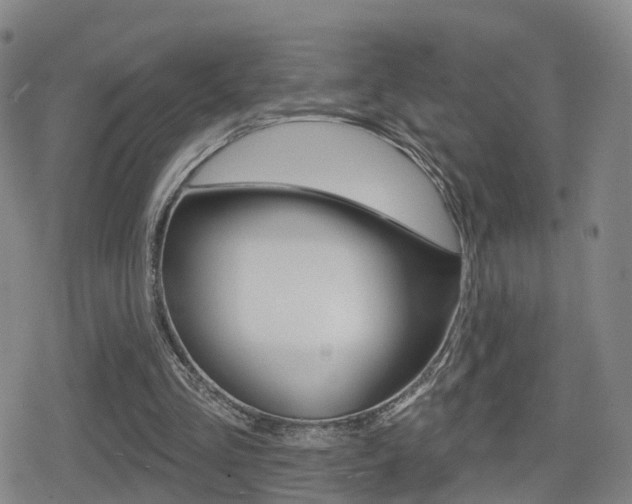 X0000080720293200612150845