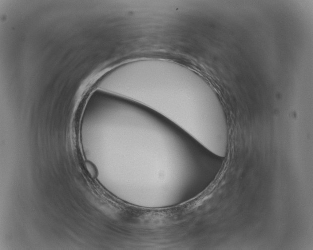 X0000080720294200612150845