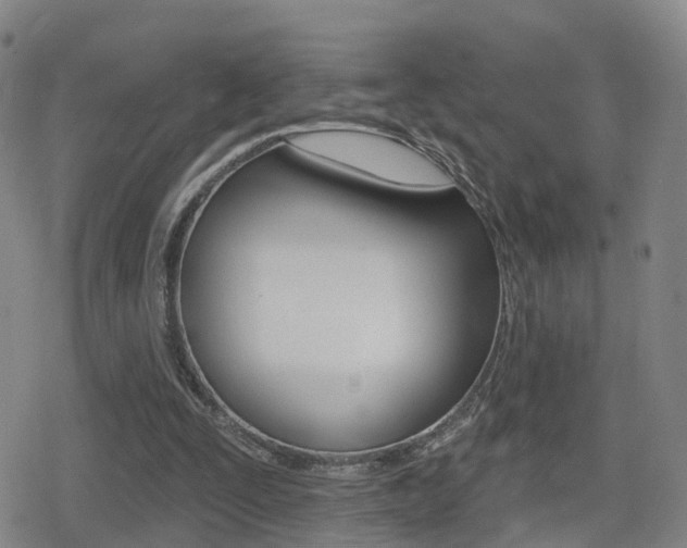 X0000080720295200612150845