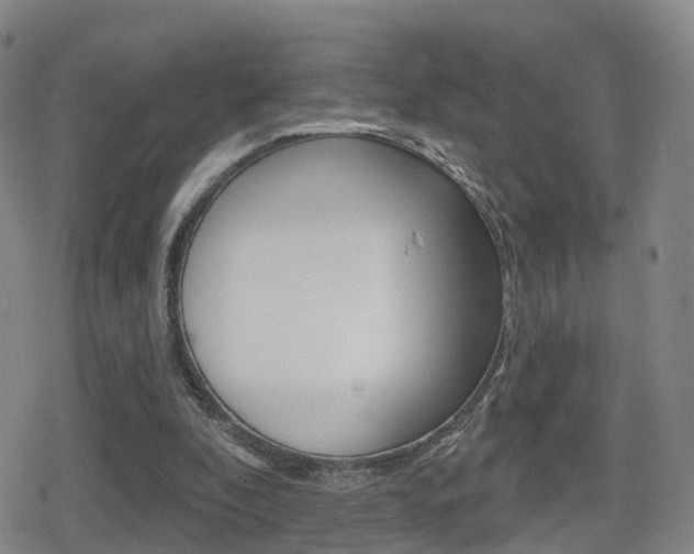 X0000080720296200612150845