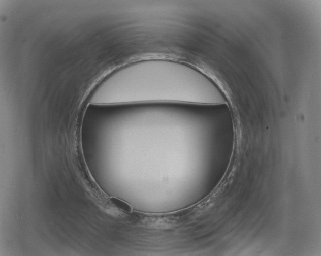 X0000080720297200612150845