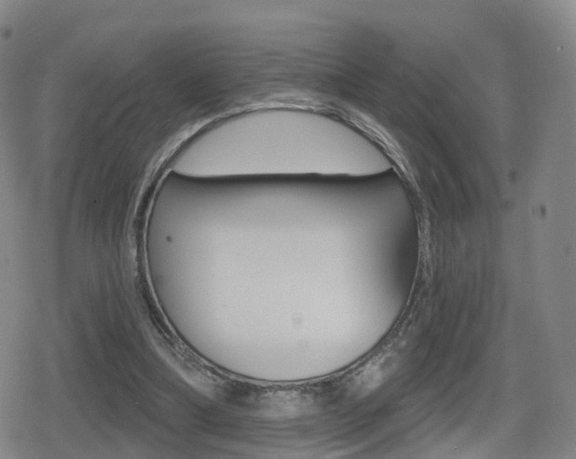 X0000080720298200612150845