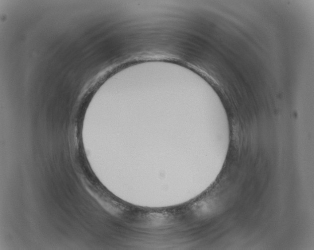 X0000080720302200612150845