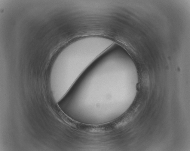 X0000080720303200612150845