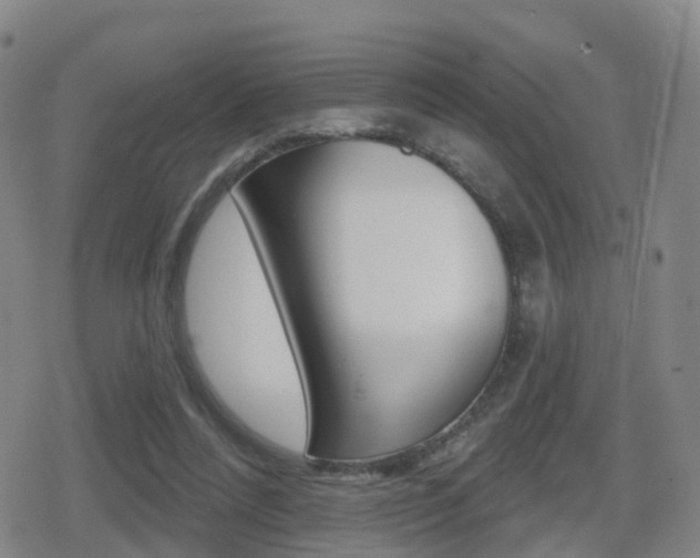 X0000080720304200612150845