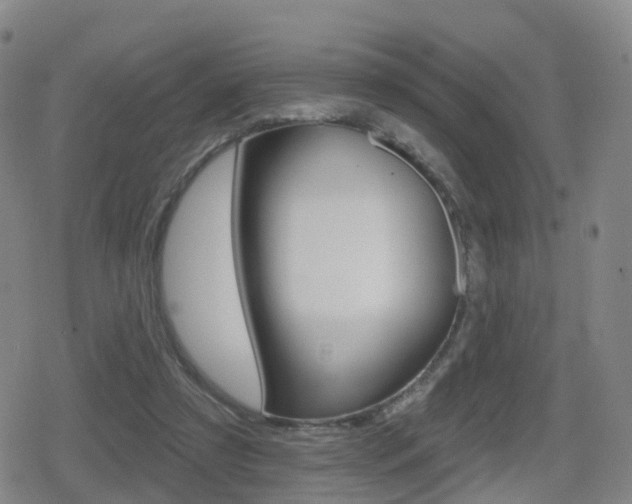 X0000080720305200612150845