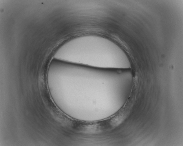 X0000080720306200612150845