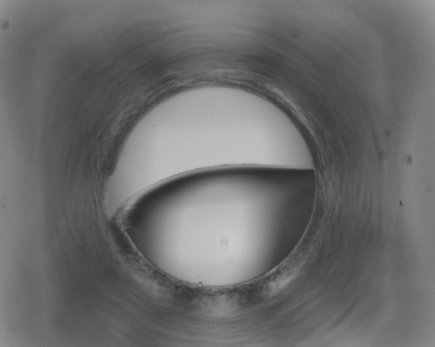 X0000080720307200612150845