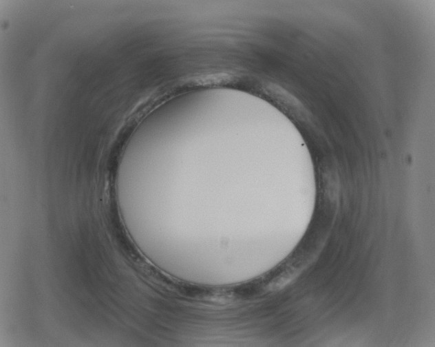 X0000080720308200612150845