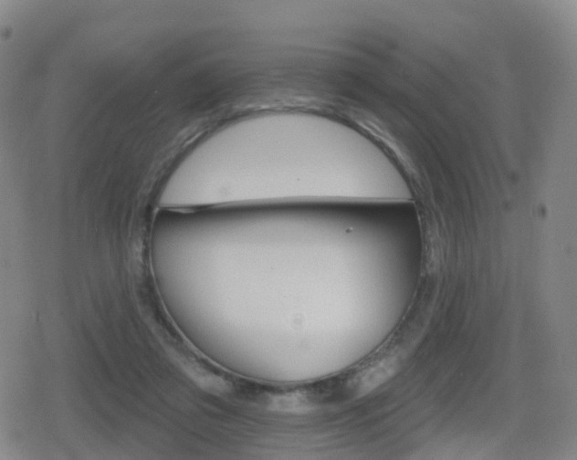 X0000080720309200612150845