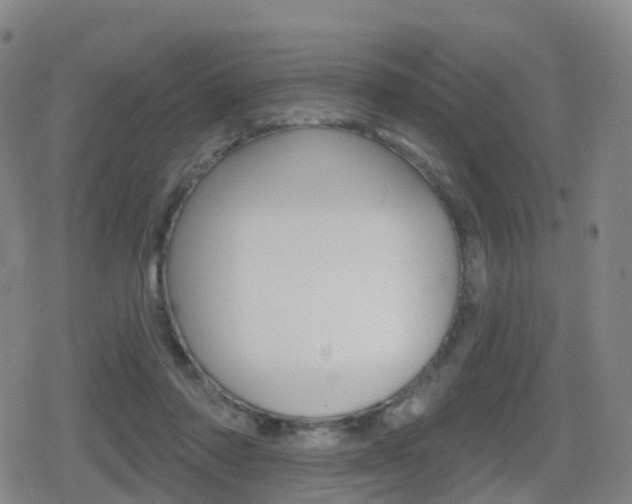 X0000080720310200612150845