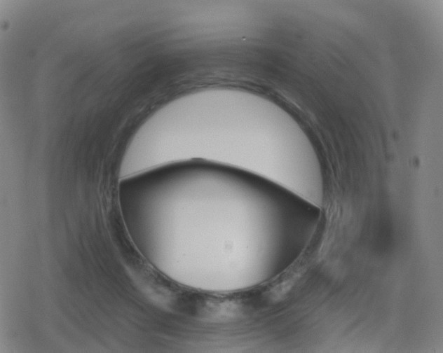 X0000080720311200612150845