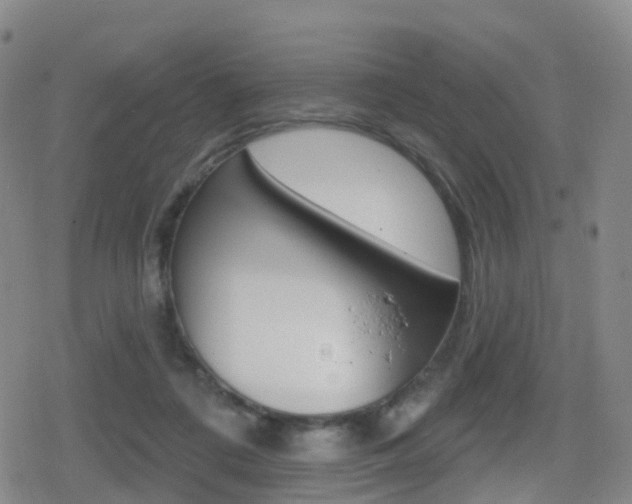 X0000080720312200612150845