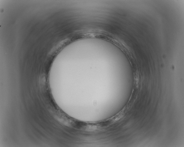 X0000080720314200612150845