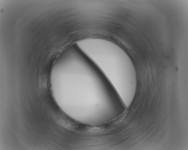 X0000080720315200612150845