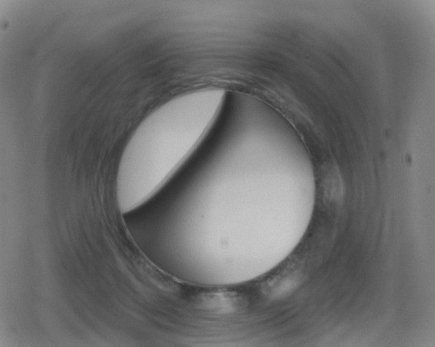 X0000080720316200612150845