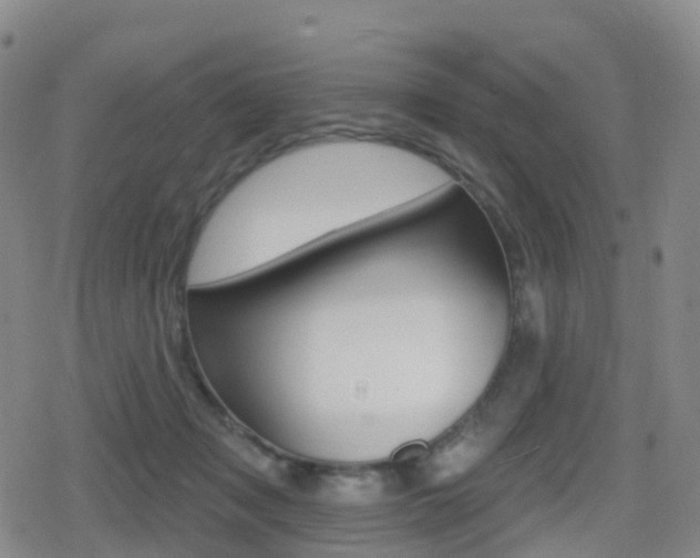 X0000080720317200612150845