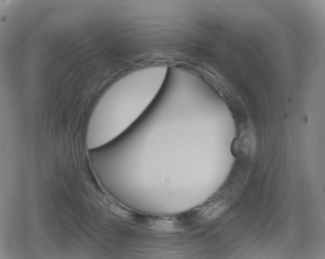 X0000080720318200612150845