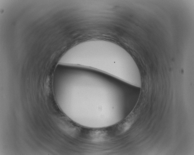 X0000080720319200612150845