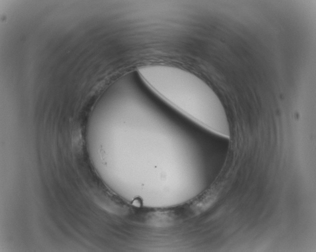 X0000080720320200612150845