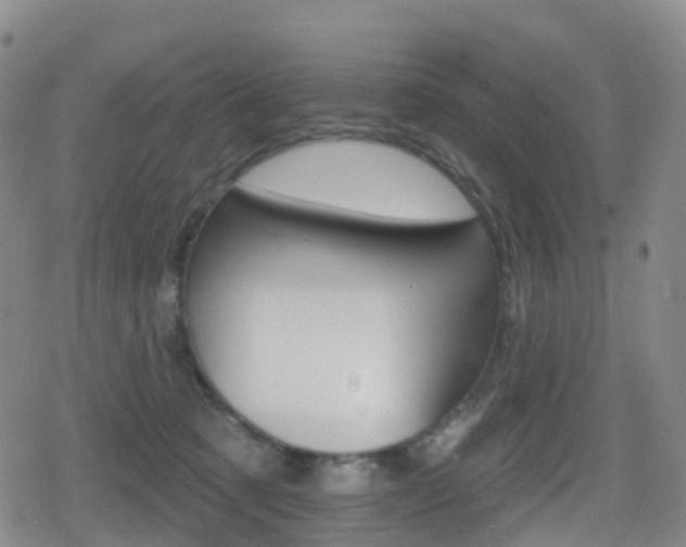 X0000080720321200612150845