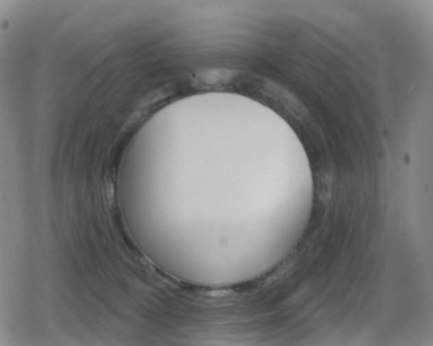 X0000080720324200612150844