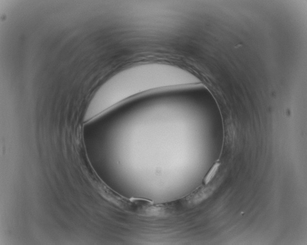 X0000080720325200612150844