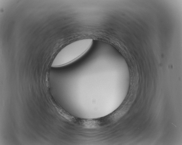 X0000080720336200612150844
