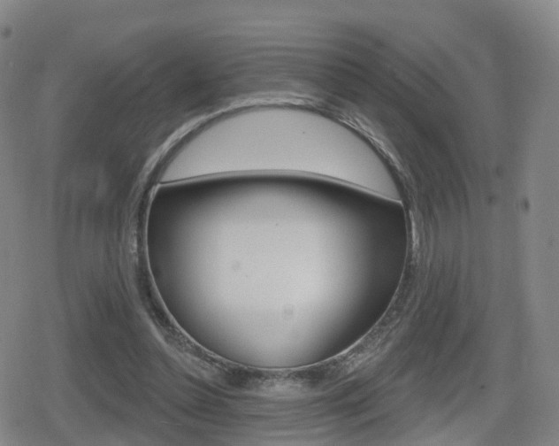 X0000080720348200612150844