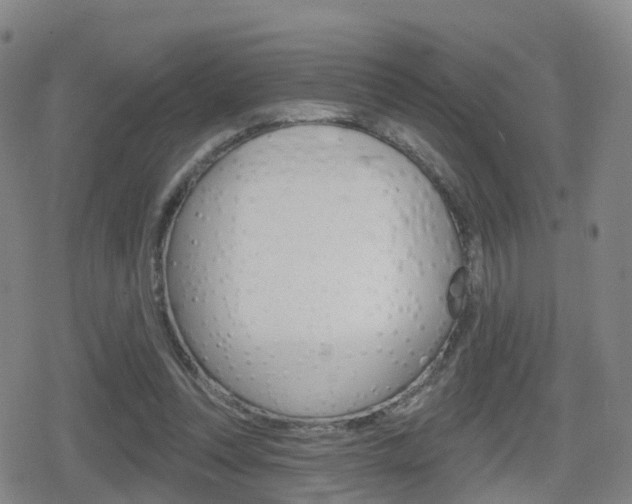 X0000080720351200612150844