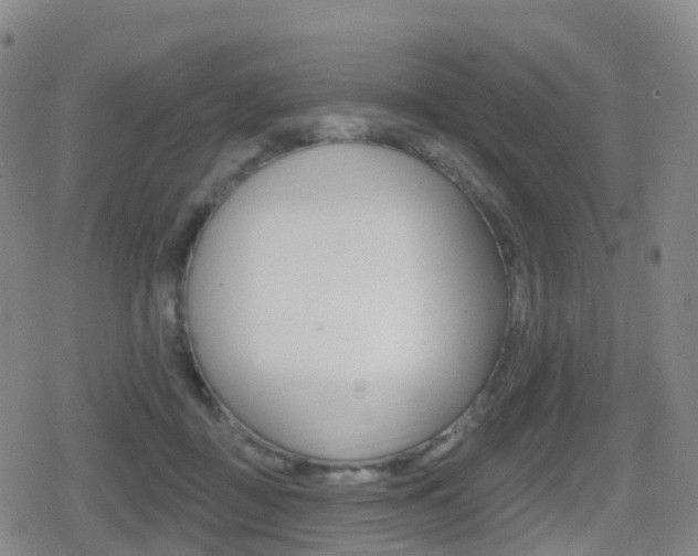 X0000080720363200612150844