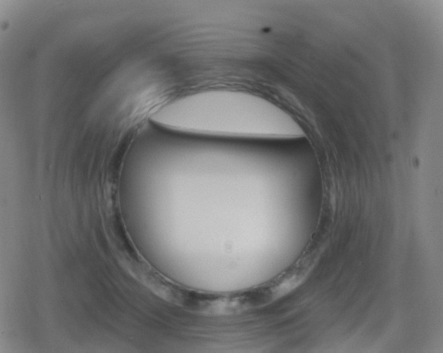X0000080720366200612150844