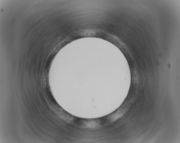 X0000080720370200612150844