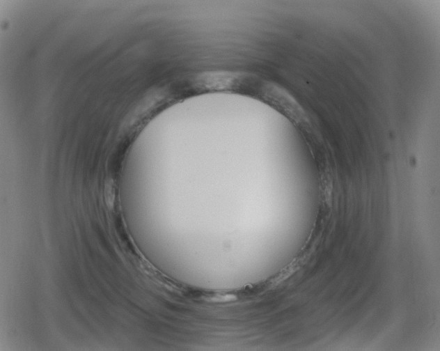 X0000080720374200612150844