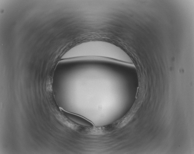 X0000080720384200612150844
