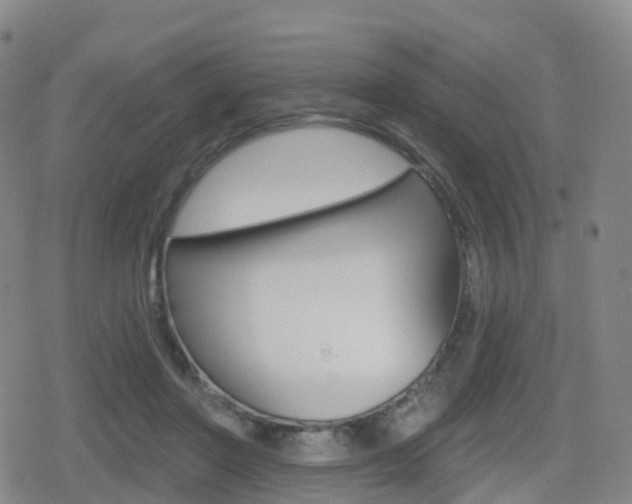 X0000080720406200612150843