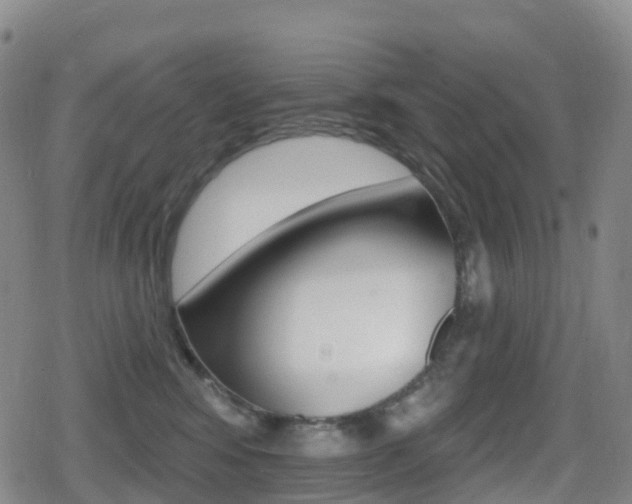 X0000080720424200612150843