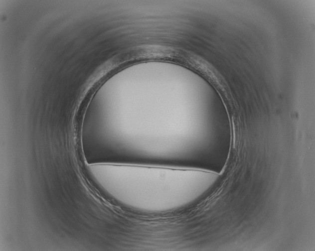 X0000080720435200612150842