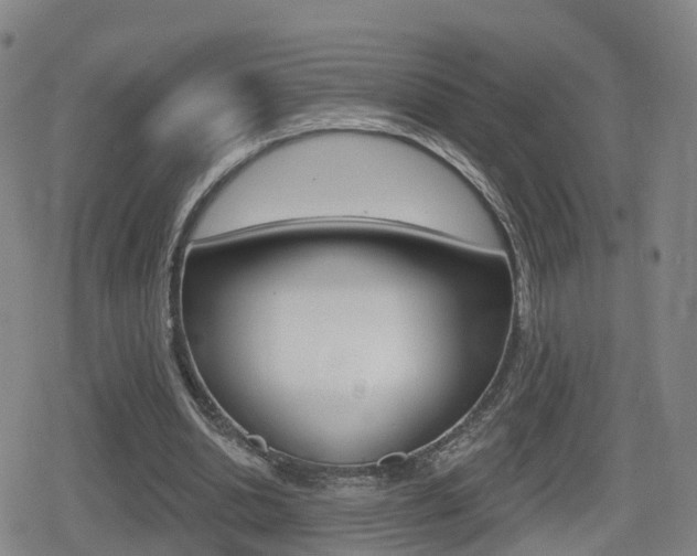 X0000080720438200612150842