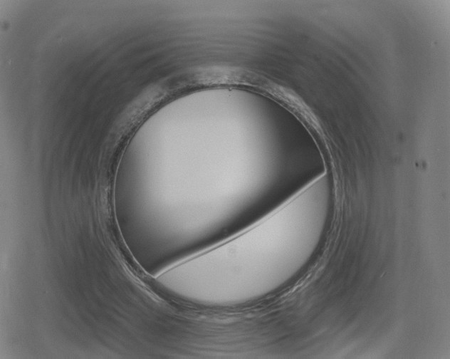 X0000080720441200612150842
