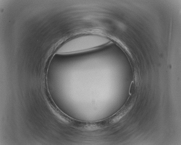 X0000080720445200612150842