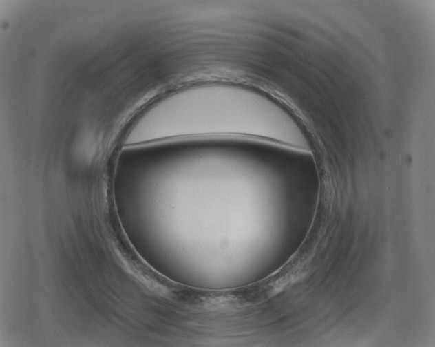 X0000080720446200612150842