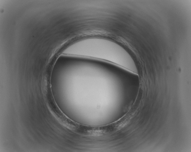 X0000080720448200612150842