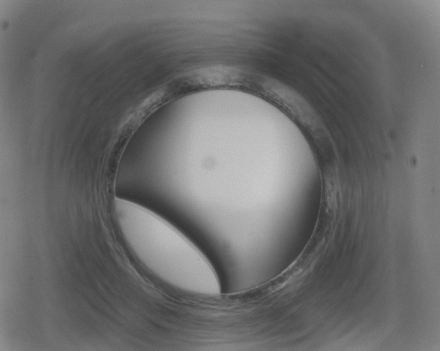 X0000080720453200612150842