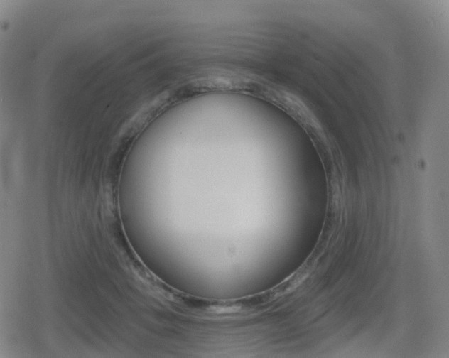 X0000080720457200612150842
